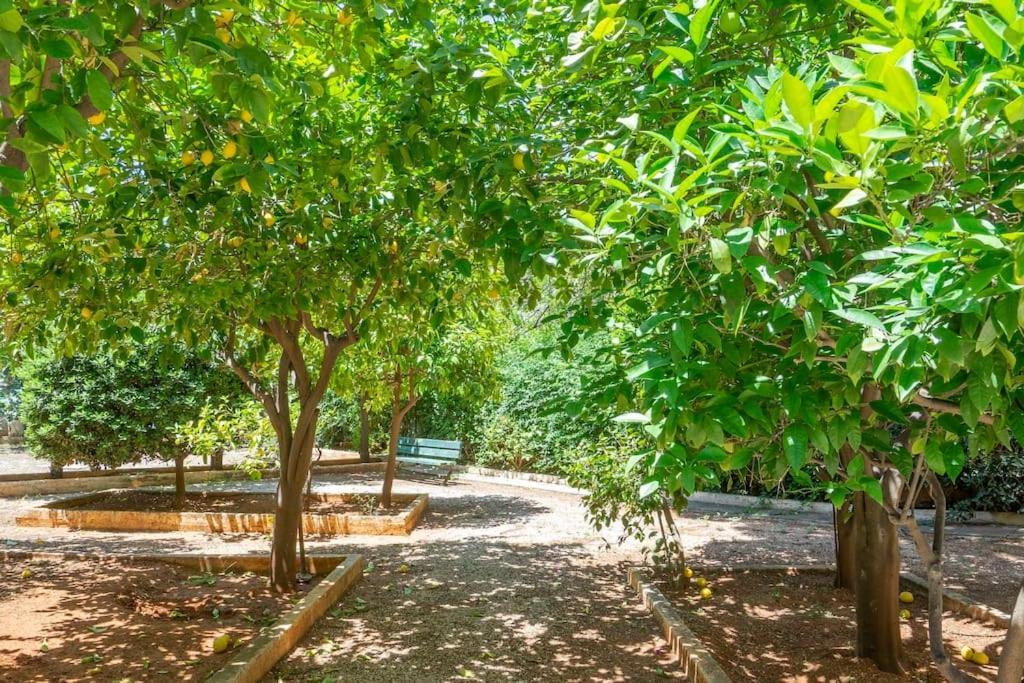 Voula'S Secret Garden Studio Афіни Екстер'єр фото
